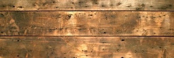 joeycamasta Profile Banner