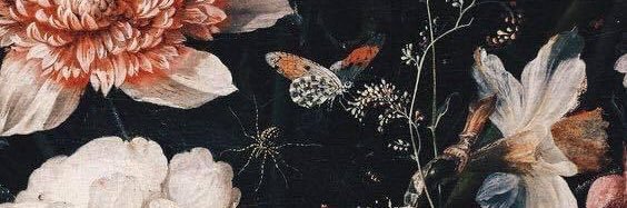 _torii19's profile banner image