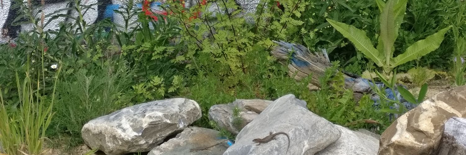 a_taucher's profile banner image