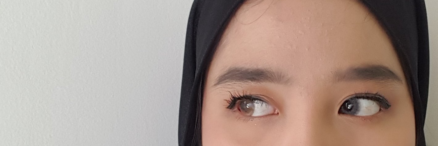 raamadhanto's profile banner image