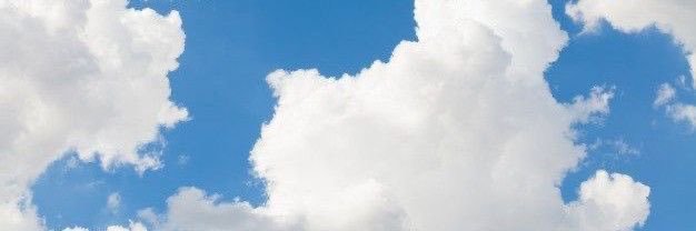 daisy ◟̽◞̽ banner