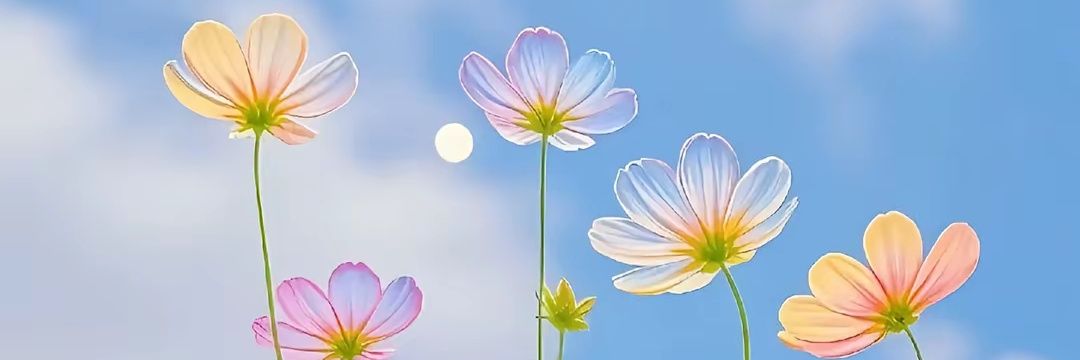 JJtension's profile banner image