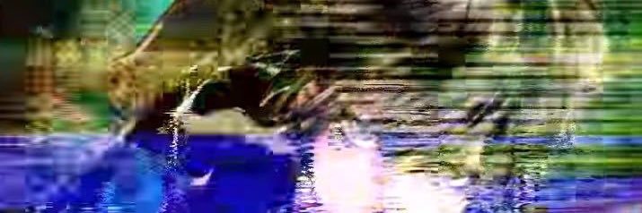 245032092's profile banner image