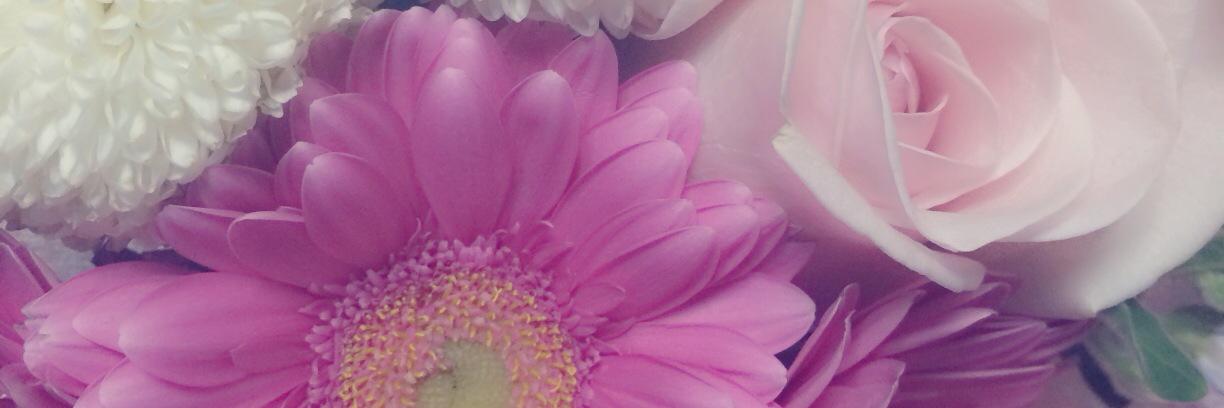 MqT07's profile banner image