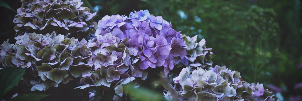 TSING_KAYTO's profile banner image