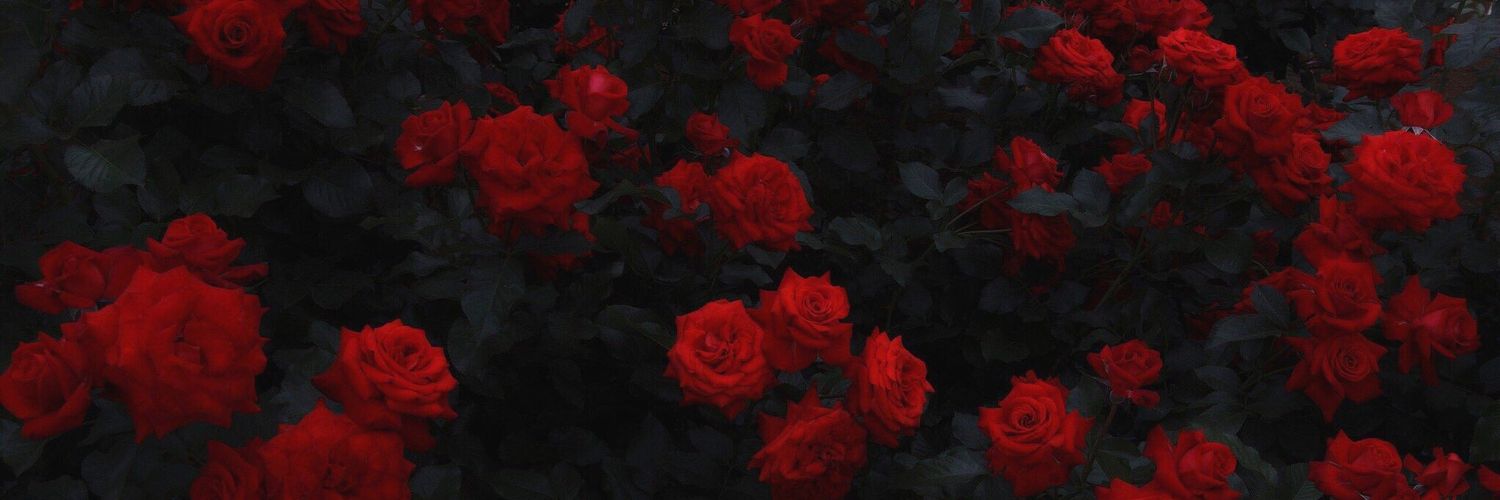 bij_XOX's profile banner image