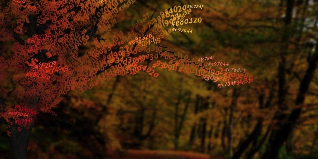 Rishabh Shukla banner