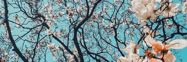 KDorundo's profile banner image