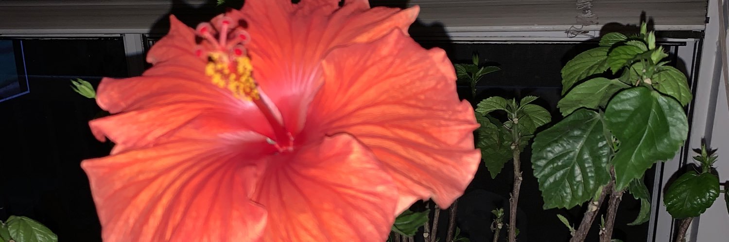 ReddFlame24's profile banner image