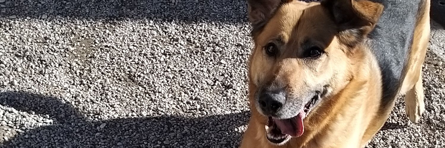 giuliahg97's profile banner image