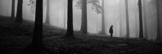 Shadow Seeker banner