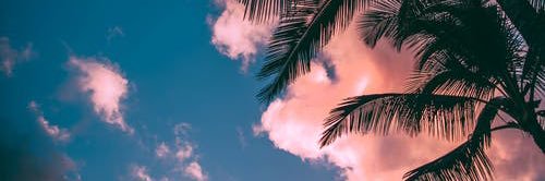 loraneeee's profile banner image
