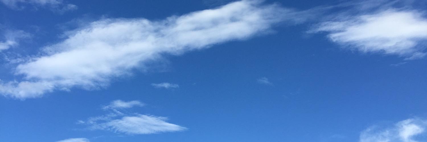 n_rienaka's profile banner image