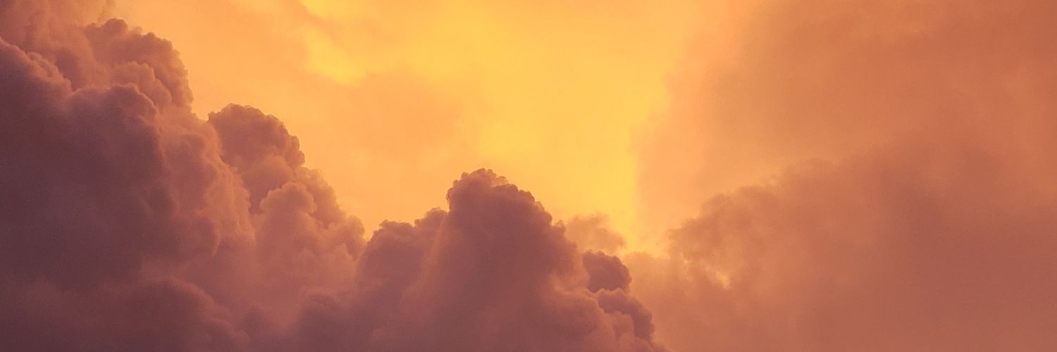 MegsMusic526's profile banner image