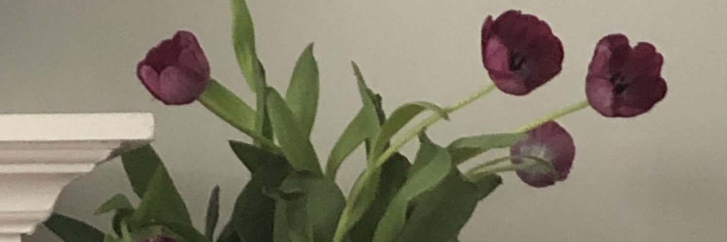 maricate's profile banner image