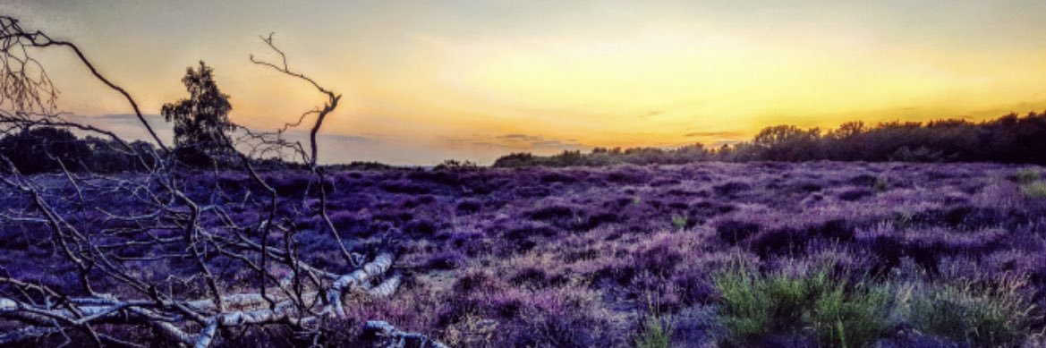 IMvDijk's profile banner image