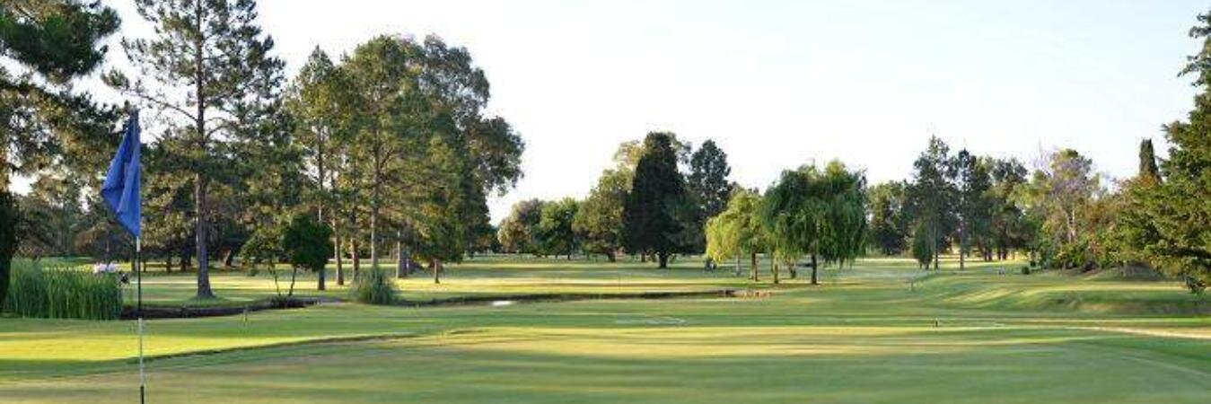 MapucheGolf's profile banner image