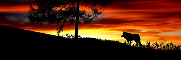 iamYungAlpha Profile Banner