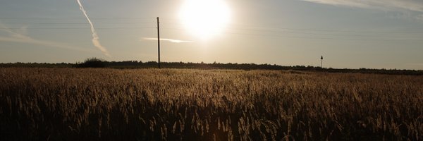 cnrapp Profile Banner