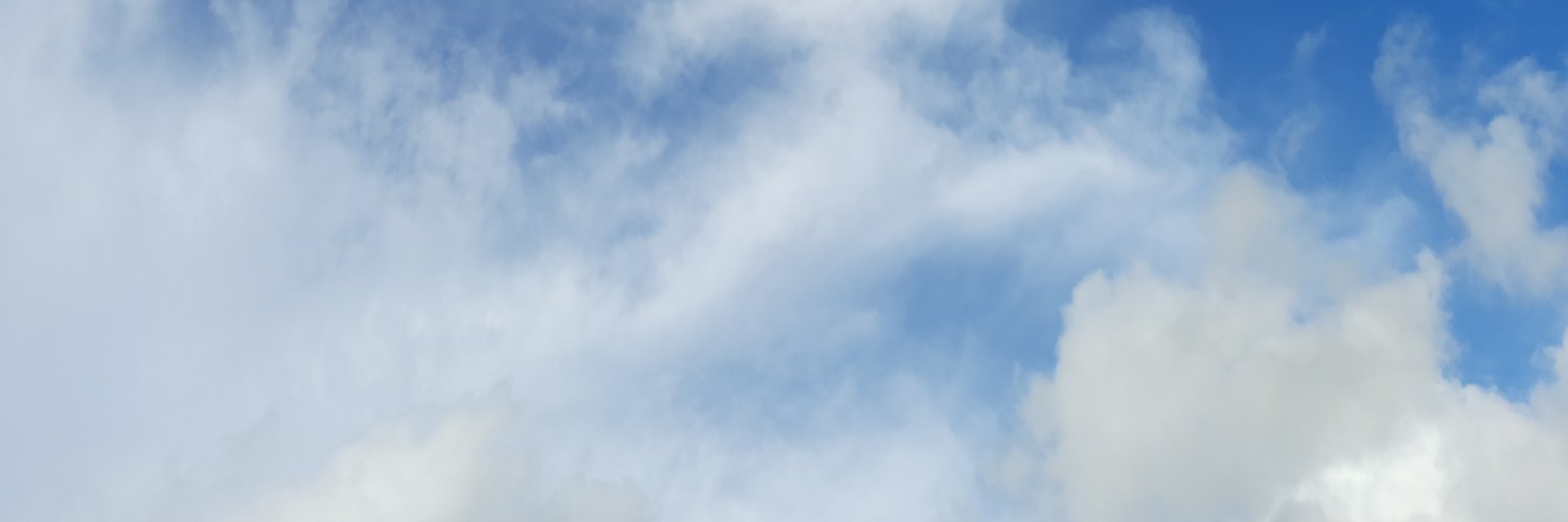 Erni_Le's profile banner image