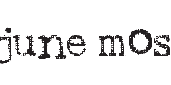 KittyCattMR's profile banner image