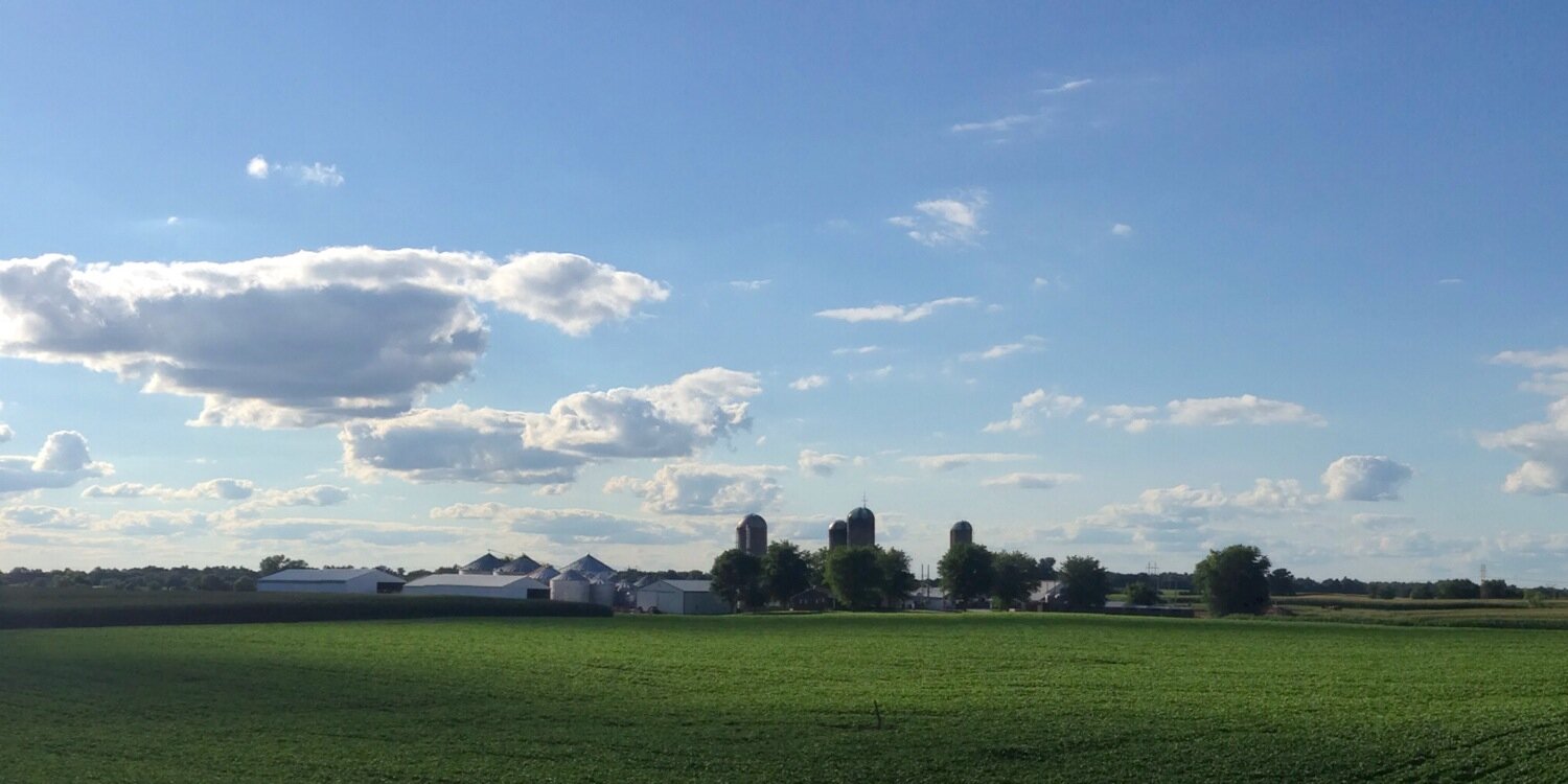 Tim Gueldener banner