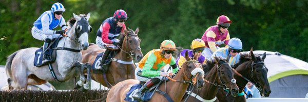 Fontwell Park Profile Banner