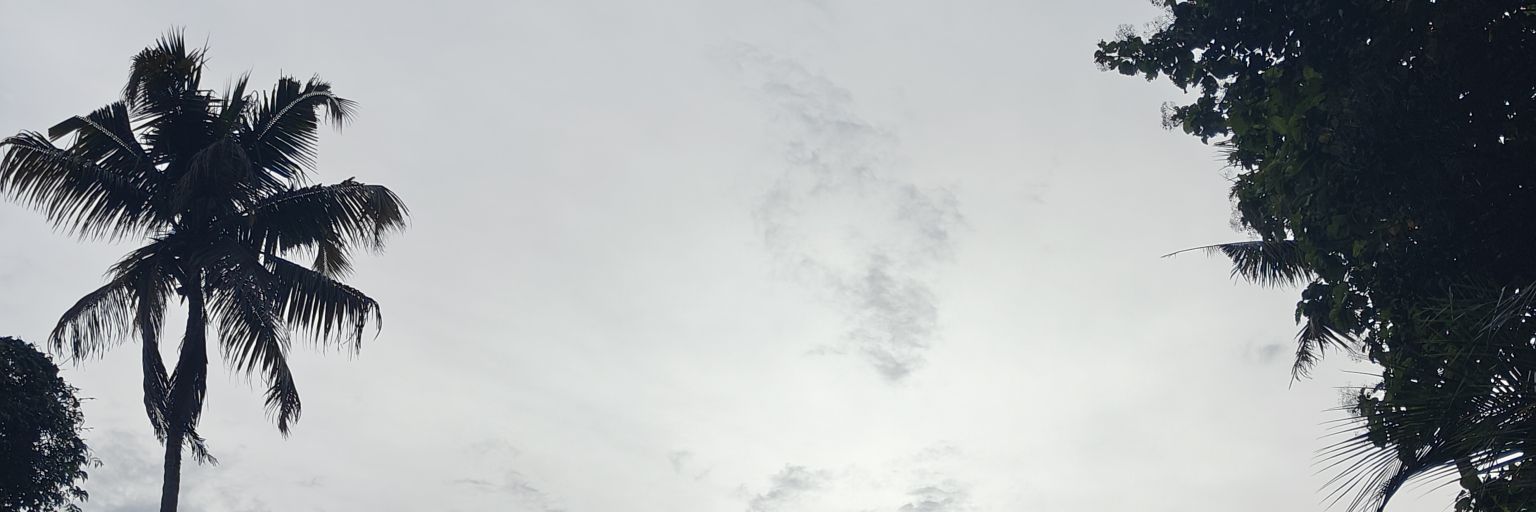 ElizebethMaya's profile banner image