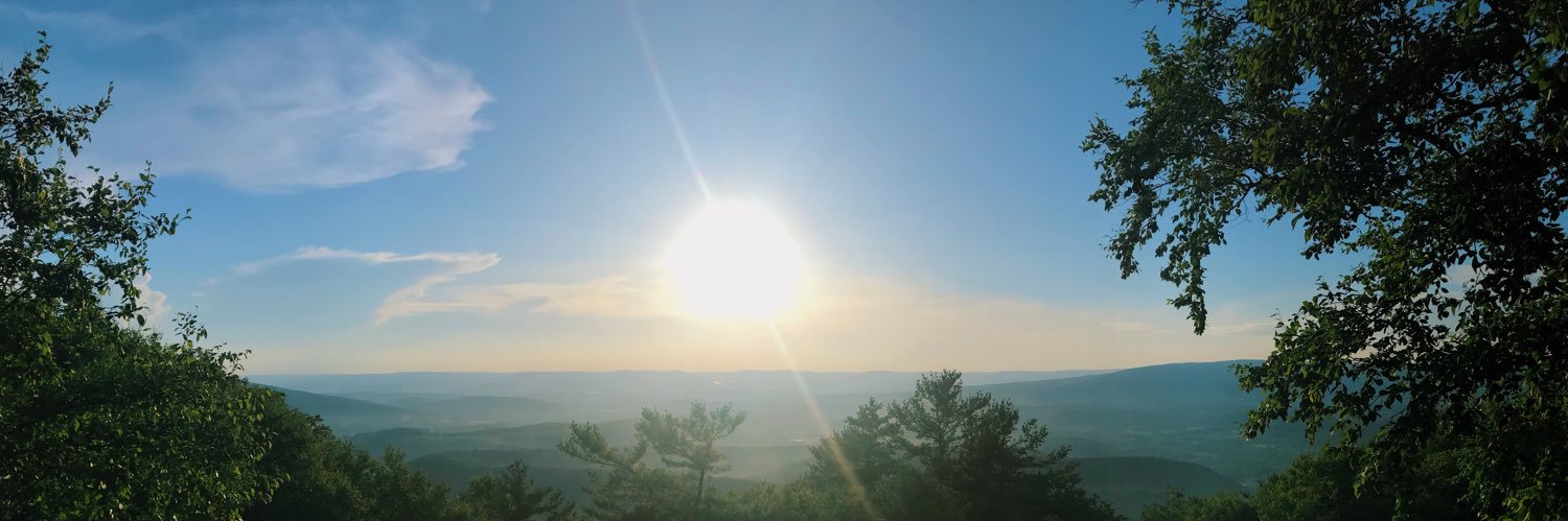 ElizabethKowa's profile banner image