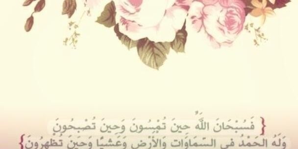 msaaa8's profile banner image