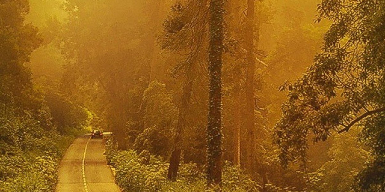 Kate_831's profile banner image