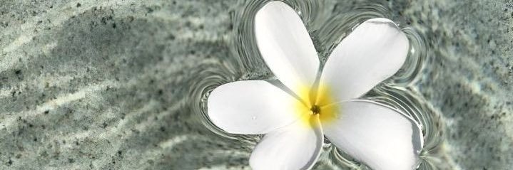 PutriGotami's profile banner image
