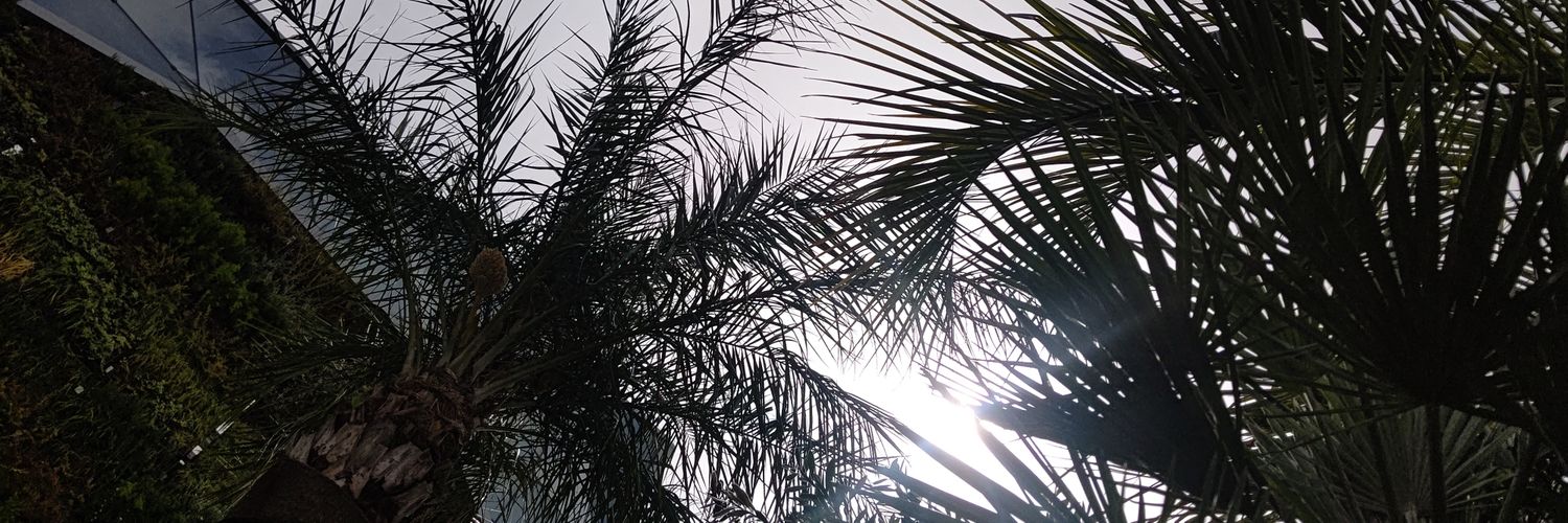173mas's profile banner image