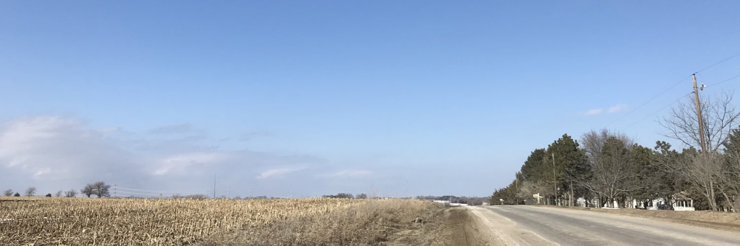 nelsonster1's profile banner image