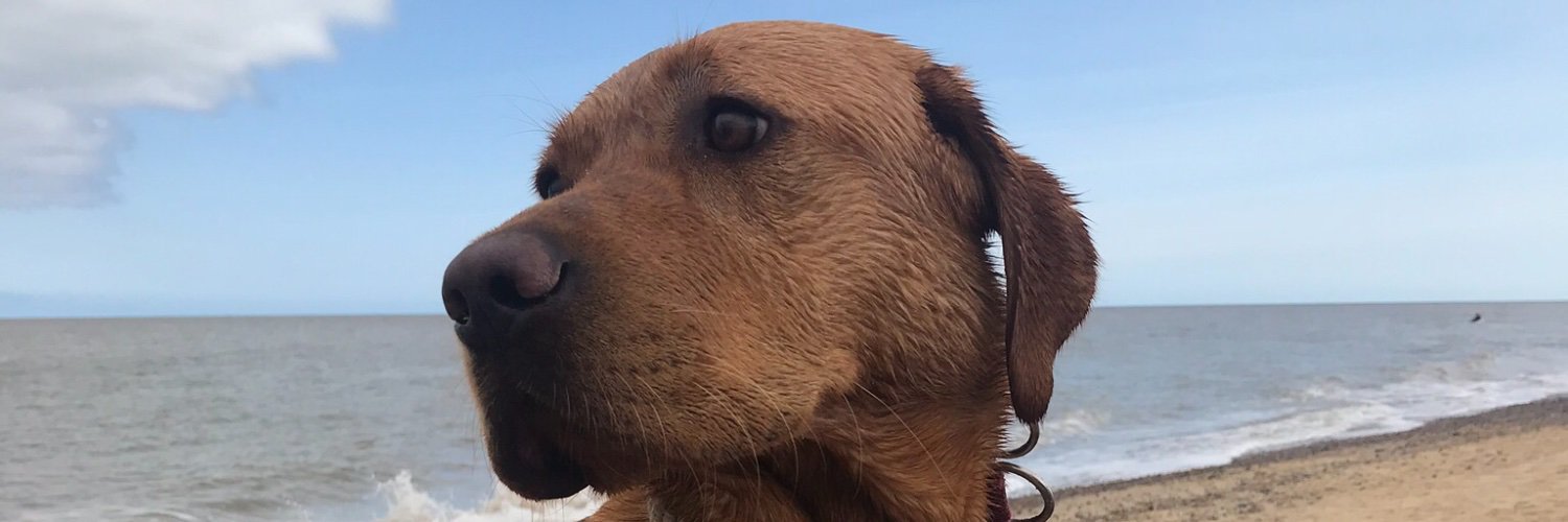 cfrgardner's profile banner image