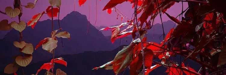1and3equals4's profile banner image