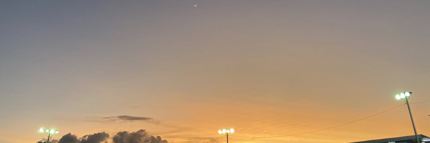 dianamongese's profile banner image