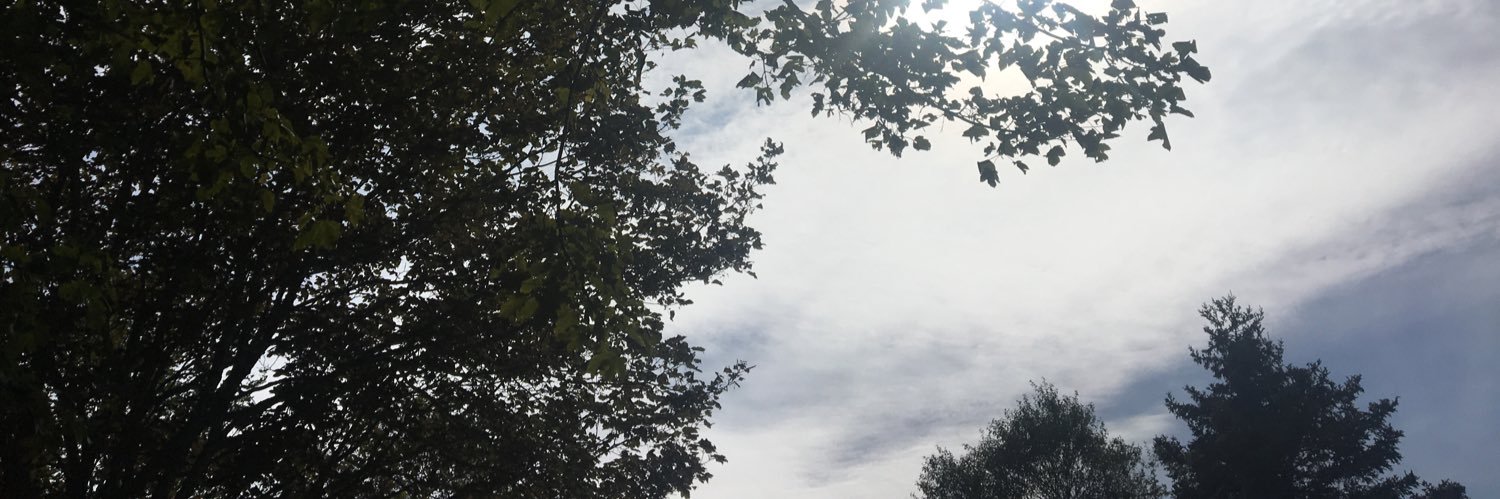 daniellebarron's profile banner image