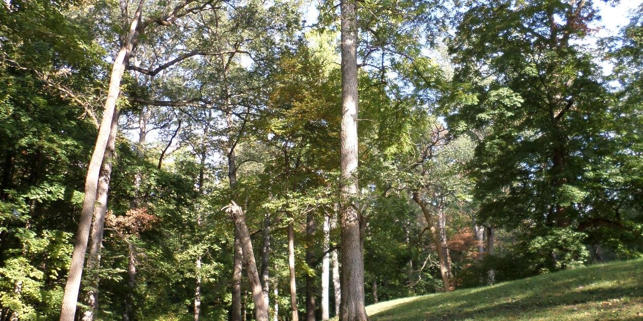MoundsStatePark's profile banner image