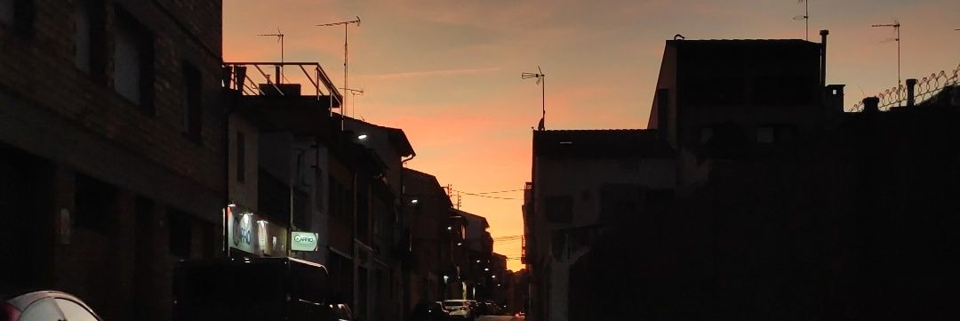 bertavidal_'s profile banner image