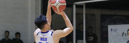 Malik banner