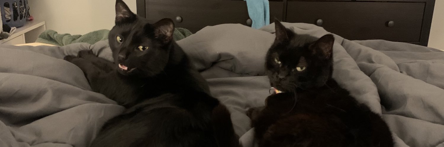 e banner