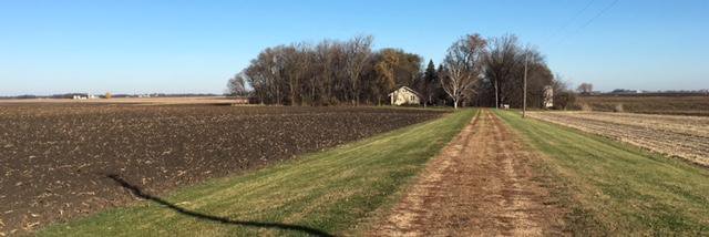 Christina Luke, Ph.D. banner