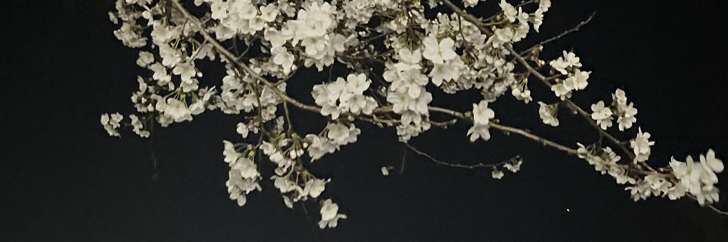 allasagna's profile banner image