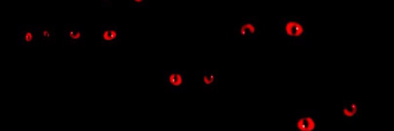 jermbodicaprio's profile banner image