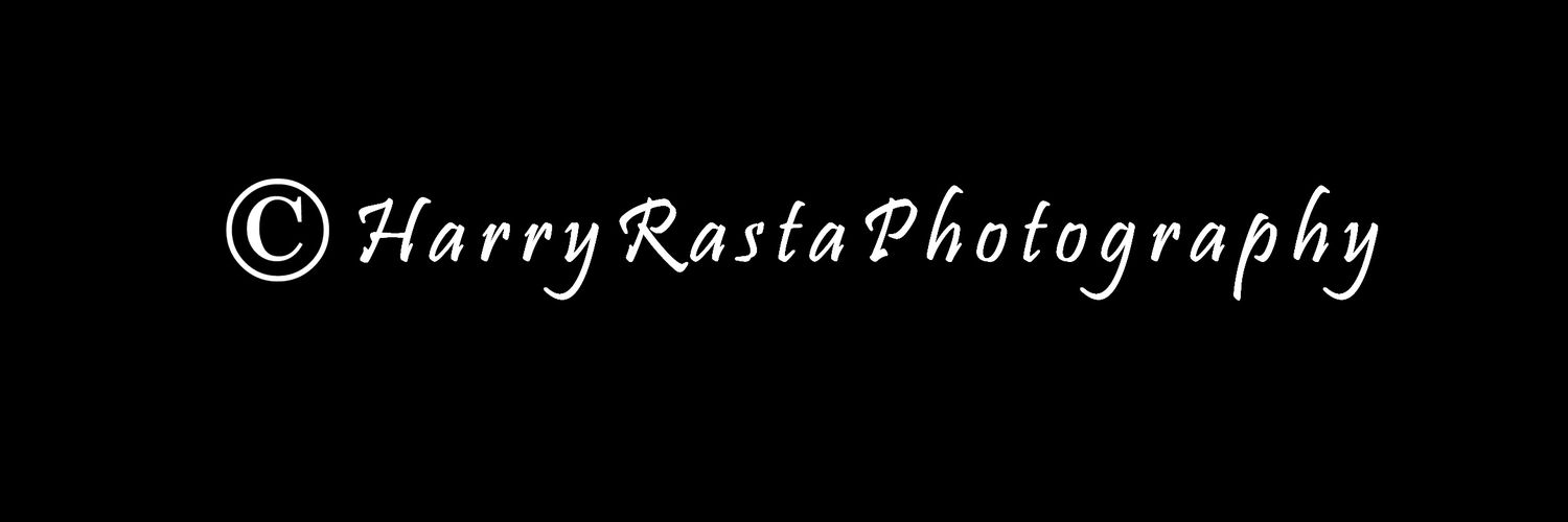harry Rastafarian banner