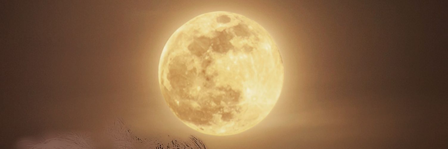 oznypn's profile banner image