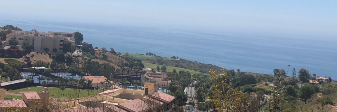 tlimm25's profile banner image