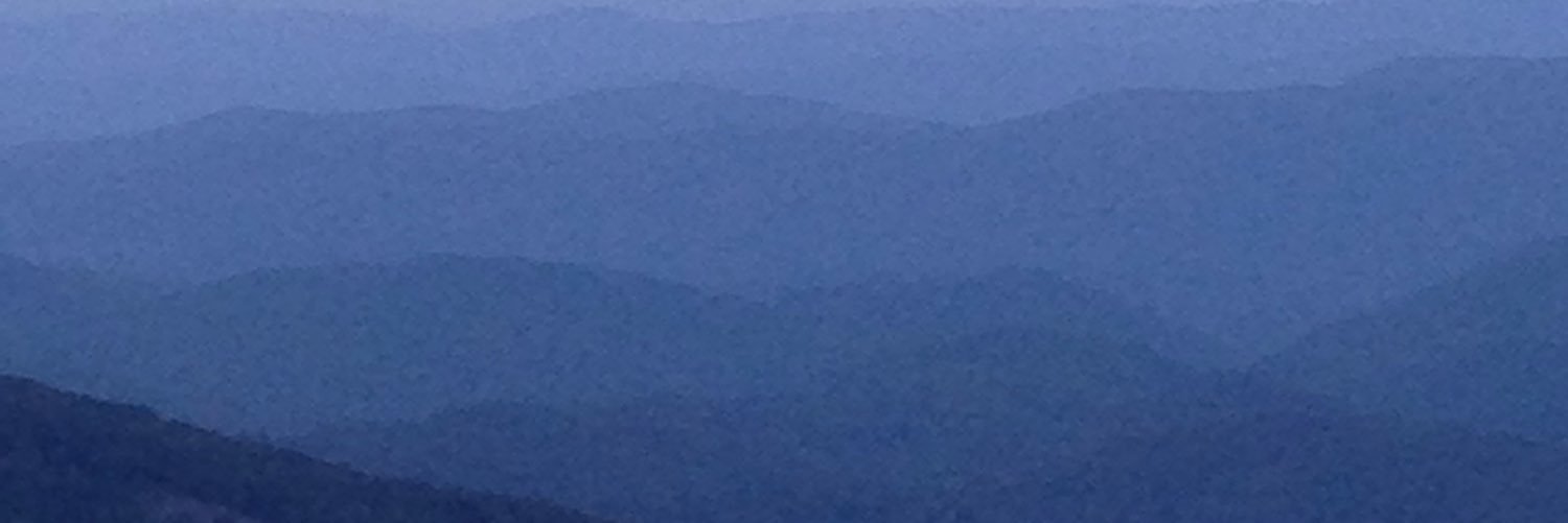 RYFOX15's profile banner image