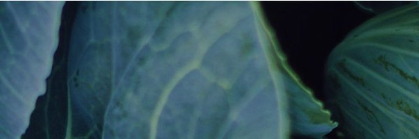 aedninforma Profile Banner
